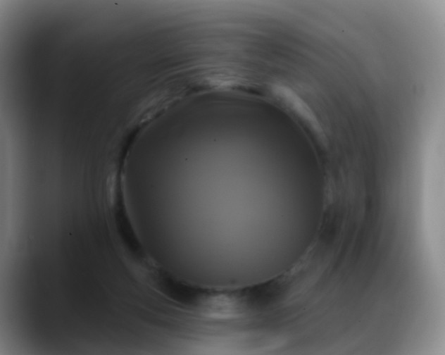 X0000088880163200706151818