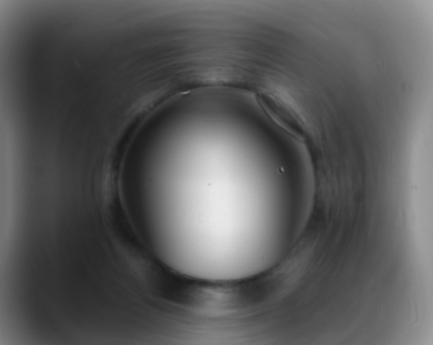 X0000088880164200706151818