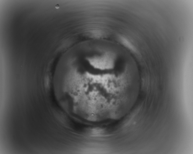 X0000088880165200706151818