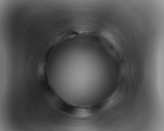 X0000088880167200706151818