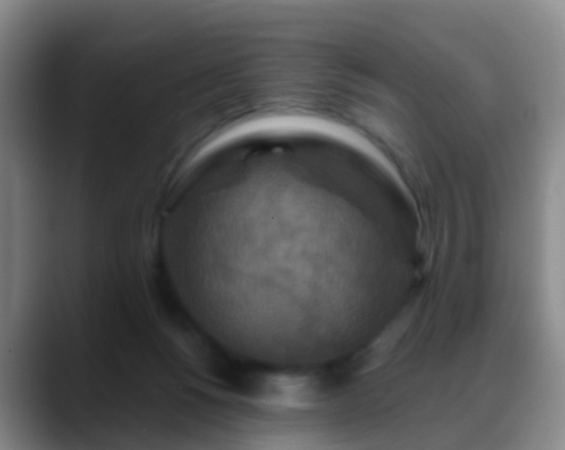 X0000088880168200706151818