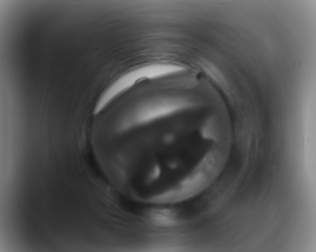 X0000088880169200706151818