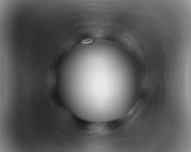 X0000088880179200706151818