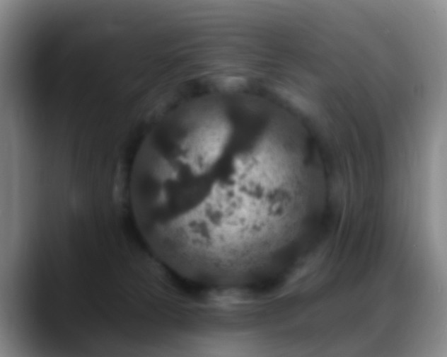 X0000088880181200706151818