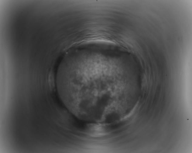 X0000088880182200706151818