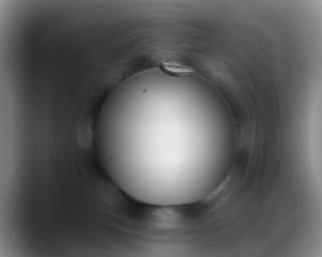 X0000088880183200706151818