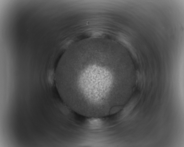 X0000088880189200706151818