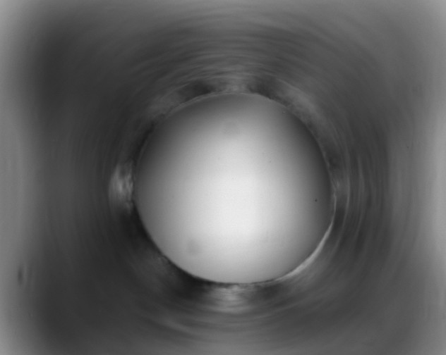 X0000088880190200706151818