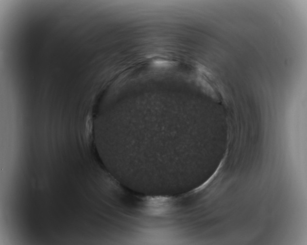 X0000088880192200706151818