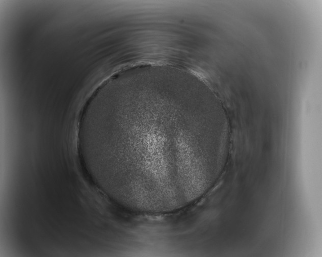 X0000088880194200706151818