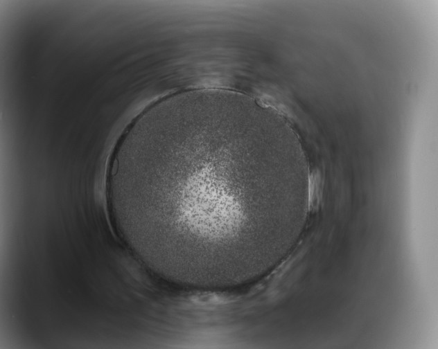 X0000088880195200706151818