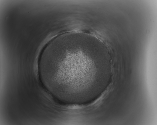 X0000088880198200706151818