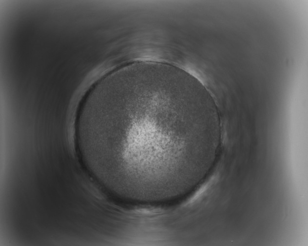 X0000088880199200706151818