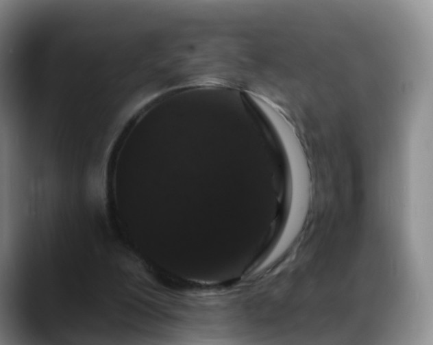 X0000088880200200706151818