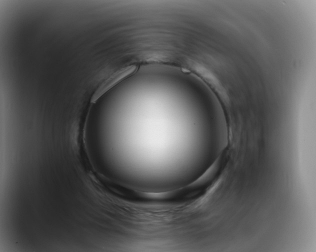 X0000088880201200706151818