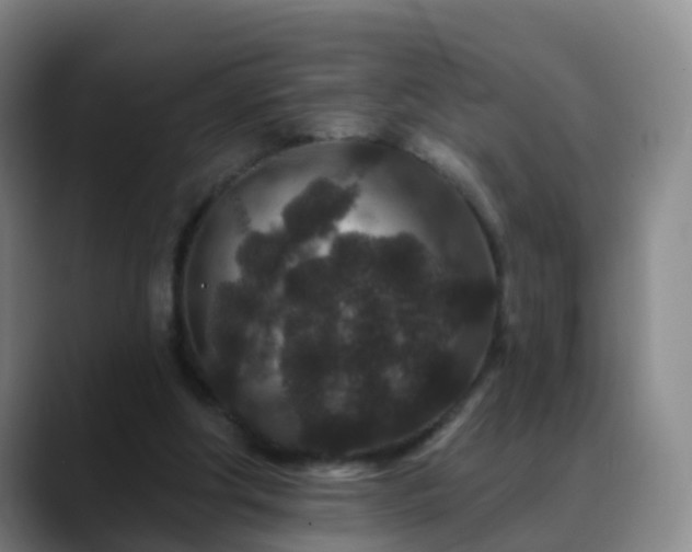 X0000088880202200706151818