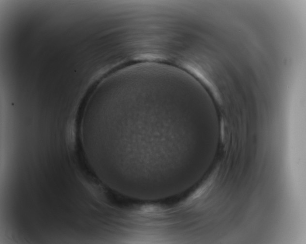 X0000088880204200706151818