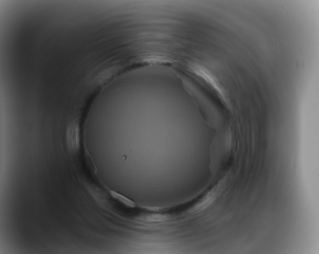 X0000088880205200706151817