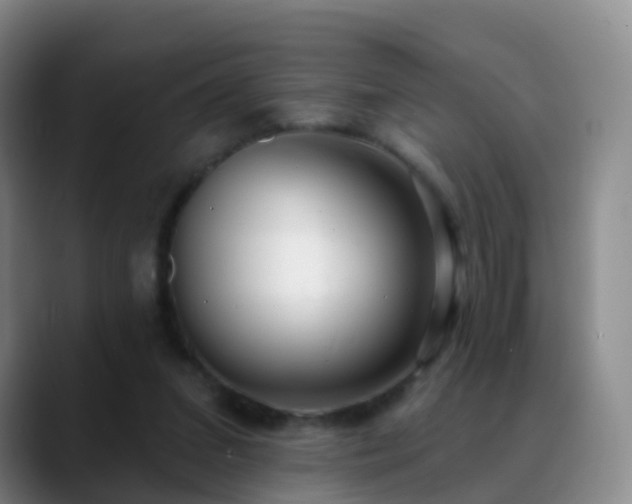 X0000088880207200706151817