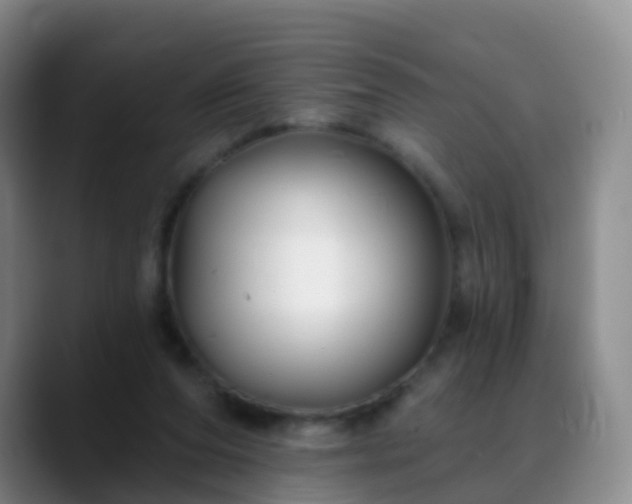 X0000088880208200706151817