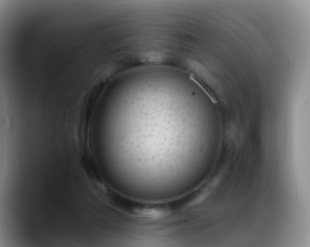 X0000088880209200706151817