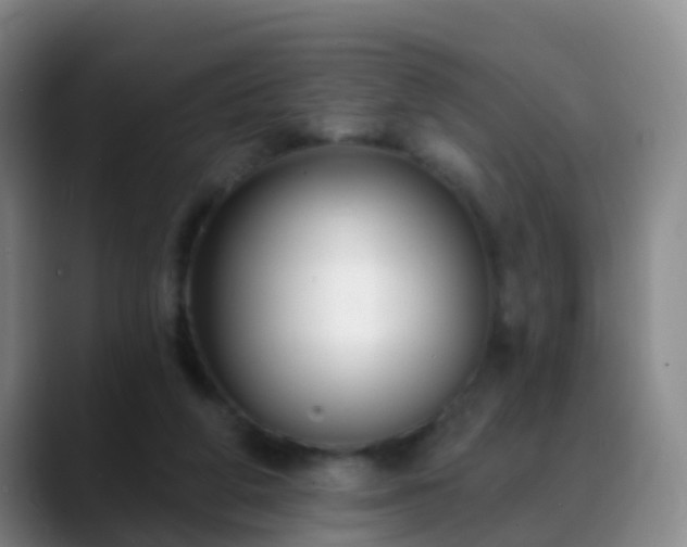 X0000088880210200706151817