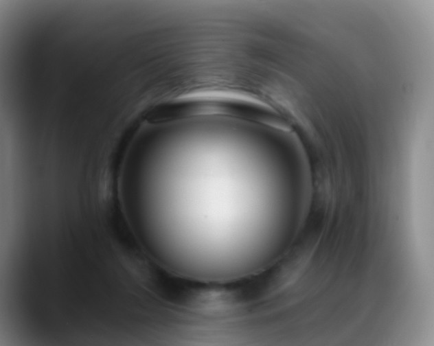 X0000088880212200706151817