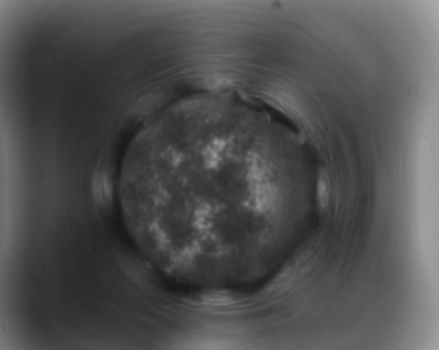 X0000088880214200706151817