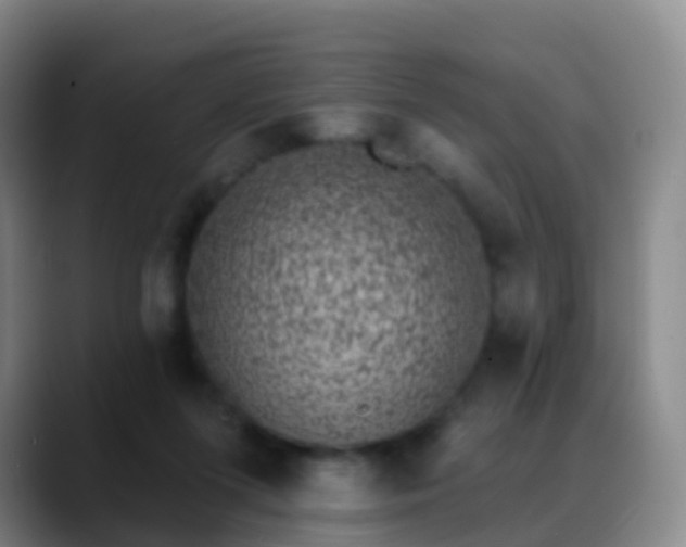 X0000088880215200706151817