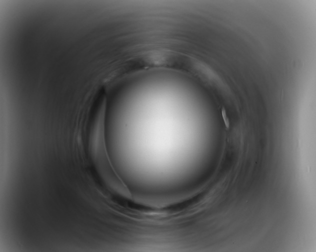 X0000088880217200706151817