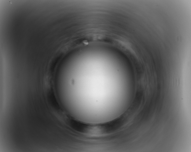 X0000088880218200706151817