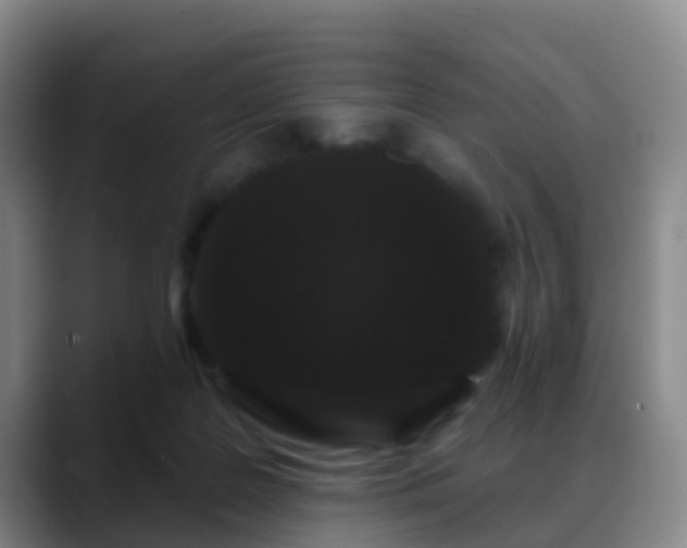 X0000088880219200706151817