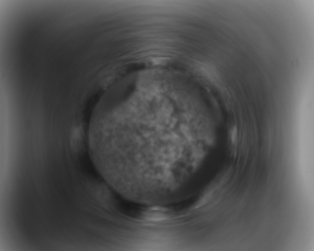 X0000088880222200706151817