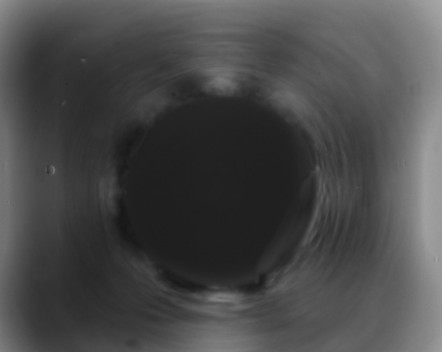 X0000088880223200706151817