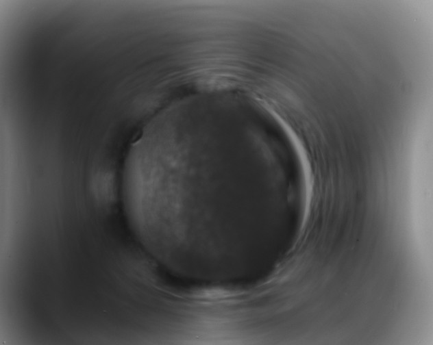 X0000088880224200706151817