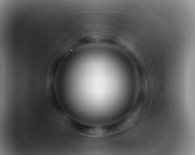 X0000088880225200706151817