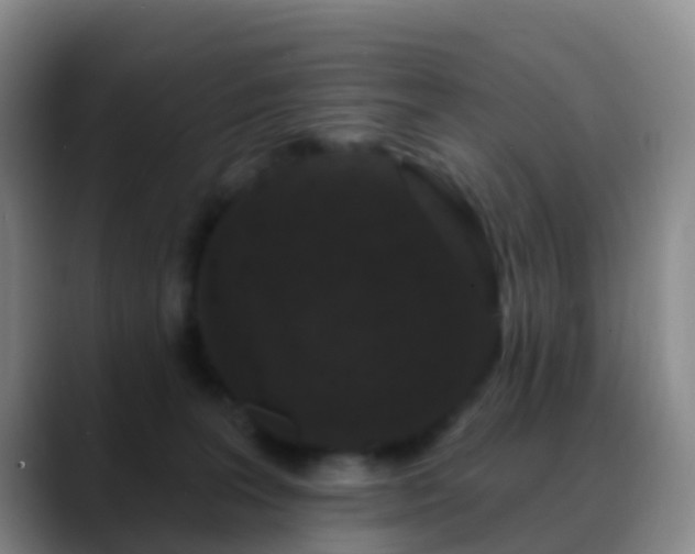 X0000088880227200706151817