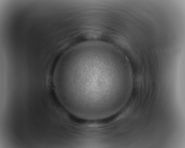 X0000088880228200706151817