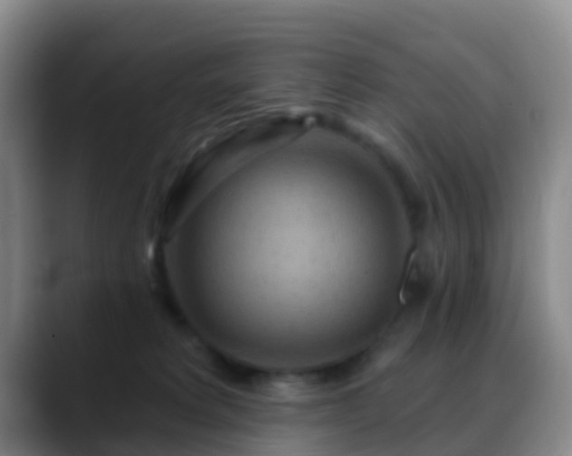 X0000088880229200706151817