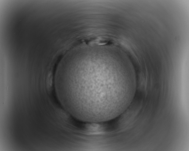 X0000088880230200706151817