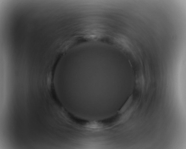 X0000088880231200706151817