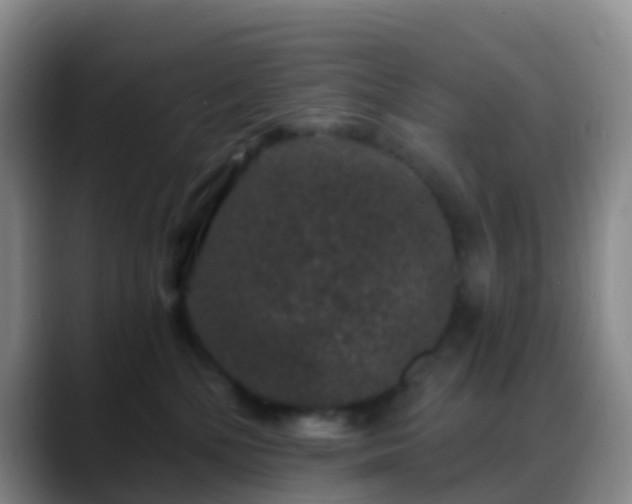 X0000088880232200706151817