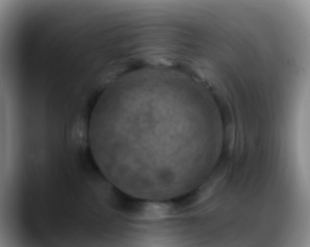 X0000088880234200706151817