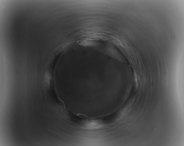 X0000088880235200706151817