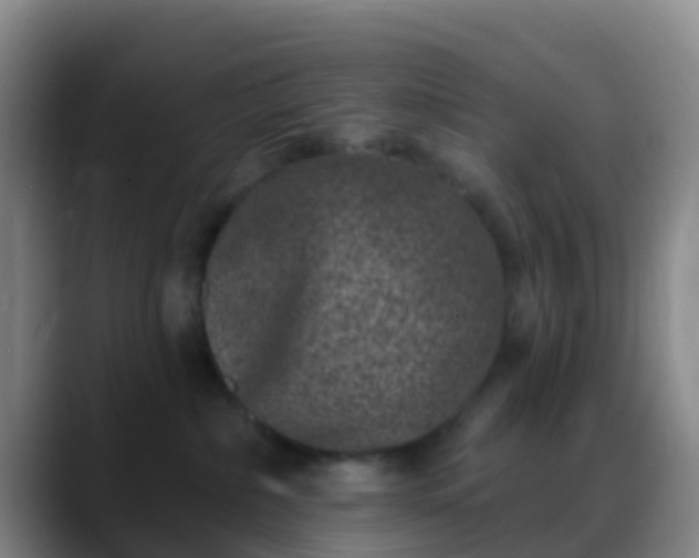 X0000088880236200706151817