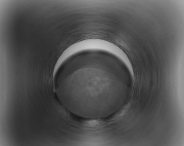 X0000088880237200706151817