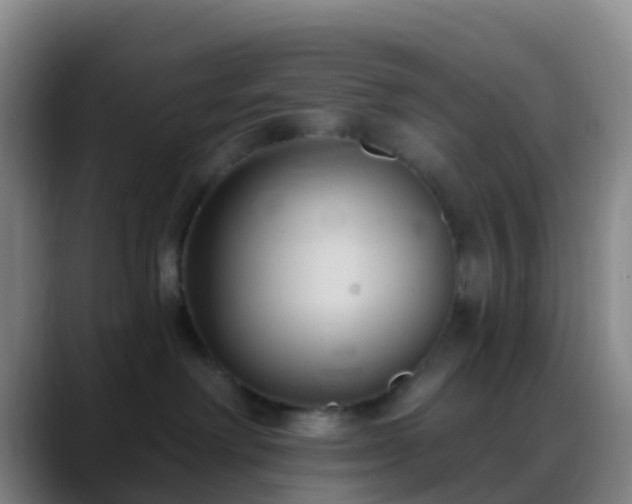 X0000088880238200706151817