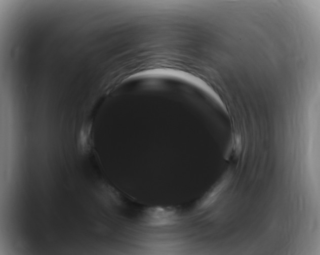 X0000088880239200706151817