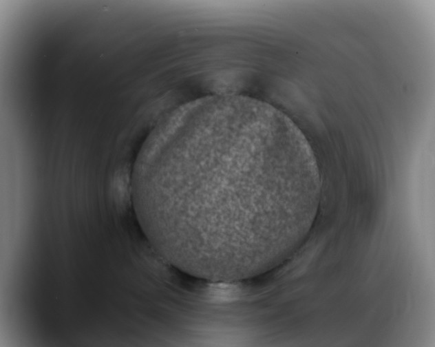 X0000088880240200706151817