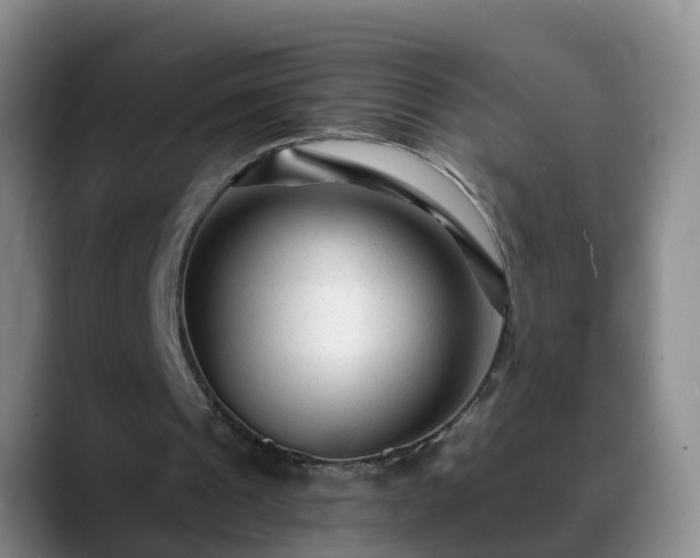 X0000088880241200706151816